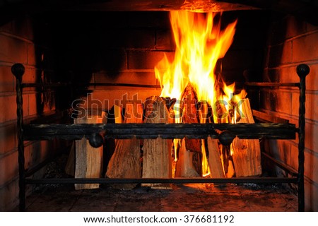 Fire burns in a fireplace