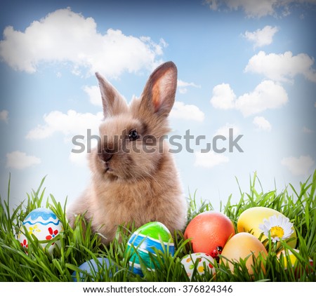 Easter bunny and Easter eggs on green grass 