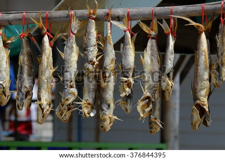 Fish at the drying racks, Thailand. Thai traditional outdoor drying on the sun.