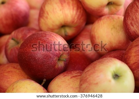 Many clean organic natural fresh tasty ripe striped red yellow apples crop fruit full of vitamin for healthy eating diet ball form for sale on blurred background, horizontal picture
