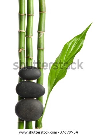 bamboo and stones