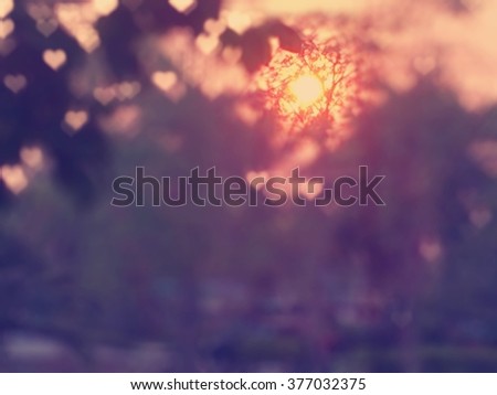 Golden heaven light Hope concept abstract blurred background from nature with sun splash and gold leaves