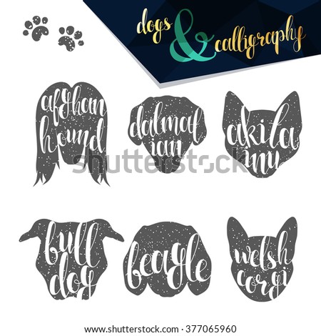 Set names dog breeds in calligraphy handmade design.  Elite premium labels. Create retro and vintage  posters, brochures, postcards.