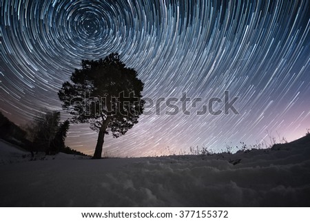 Star trails on a winter sky and pine tree in a snowy field
