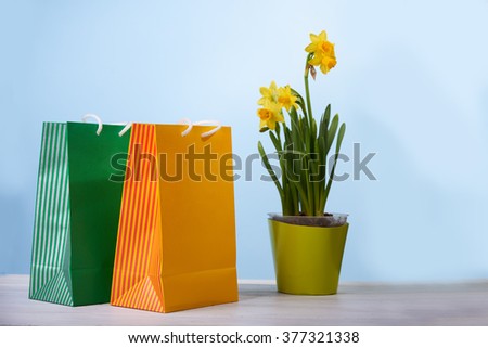 Paper bag. Empty and clean mock up for design in green and yellow colors with narcissus and blue background