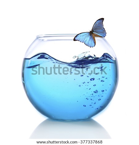 Fish bowl with water and butterfly on it isolated on white