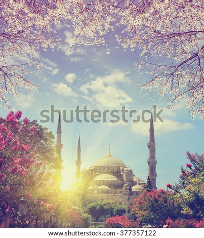 blue mosque at spring  sunrise, Istanbul. Travel concept . Vintage colored picture