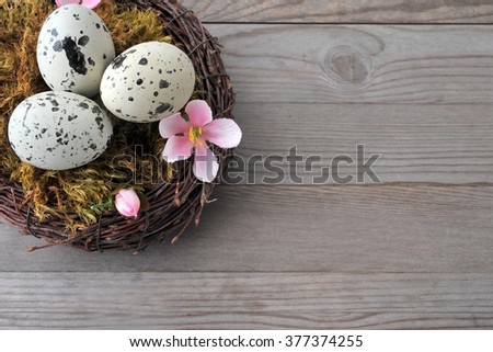 Easter card with eggs in nest on wood board.  Holiday background, with copy space.