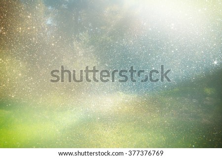 abstract photo of light burst among trees and glitter bokeh lights. image is blurred and filtered .
