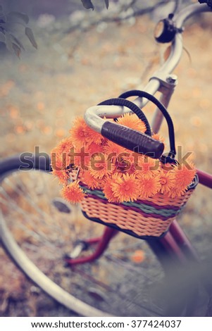 Vintage Bicycle with flowers on summer landscape background (toned picture) 