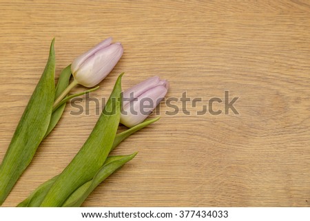 Showing some tulips laying on a wooden top .