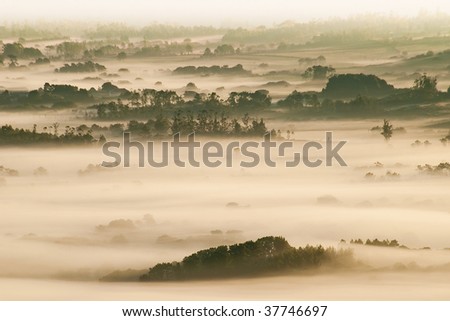 sea of fog in the Galician forest