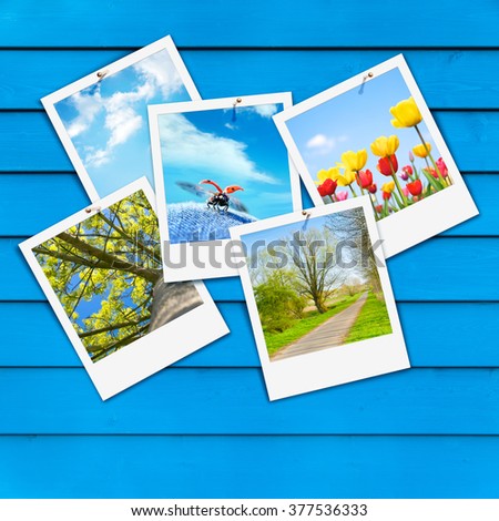 Set of five snapshots with springtime motifs on blue painted wooden wall; Collection of spring impressions