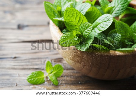 Green fresh mint om the wooden table, selective focus Royalty-Free Stock Photo #377609446