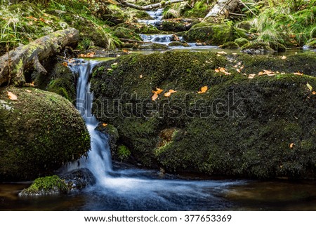 Photo taken at the creek "Kleine Ohe" Bavarian Forest in Bavaria, Germany, in October.