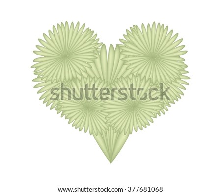 Love Concept, Illustration of Dragon Tree Leaves Forming in Heart Shape Isolated on White Background.