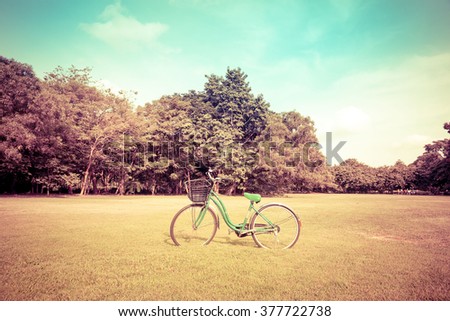 Detail of a Bicycle Handlebar Resting in vintage tone. Retro vintage bicycle at outdoor park with flowers on summer landscape background.