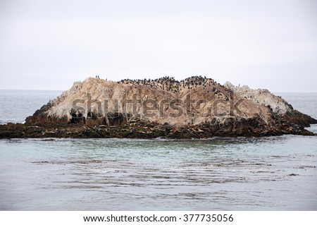 Bird rock, 17 Mile Drive, Monterey, California, USA