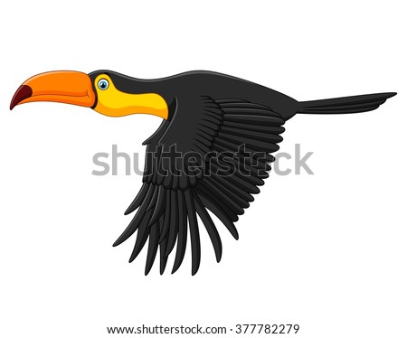Cute toucan bird cartoon flying