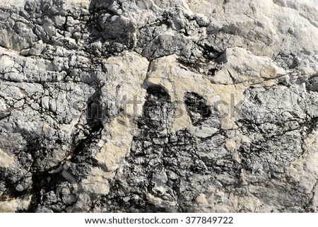 Photo closeup of costal beach sharp cracked gray rock stone formations covered with salt minerals solid layer on natural background, horizontal picture 