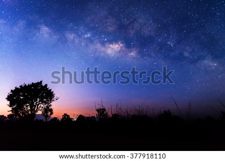 The milky way above a tree before sunrise. Stars on the colorful night sky. Royalty-Free Stock Photo #377918110