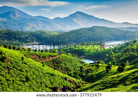 Tea plantations and Muthirappuzhayar River in hills near Munnar, Kerala, India Royalty-Free Stock Photo #377921479