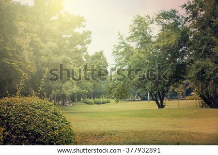 beautiful in public park with green grass field and green fresh tree plant perspective to copy space for multipurpose , Vintage style
