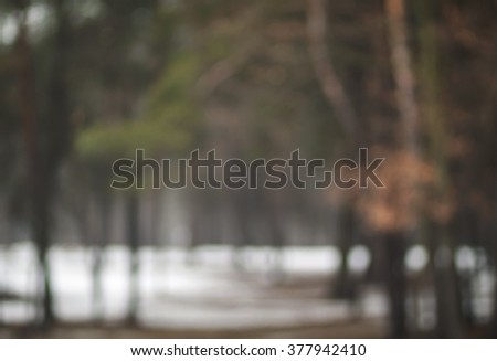 Atmospheric blurry winter forest. Defocused park, wood background. 