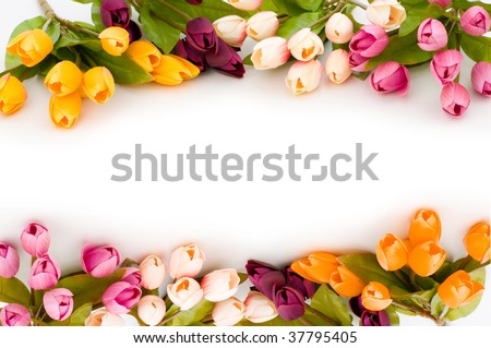 Frame made of colourful tulips