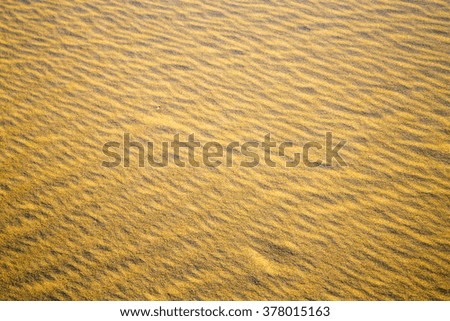 brown sand dune in the sahara morocco desert 