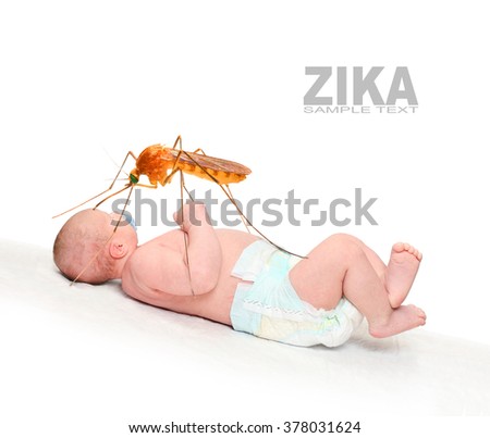 Newborn baby (Microcephaly disorder) with big mosquito. Zika infection control concept. Picture with space for your text. 