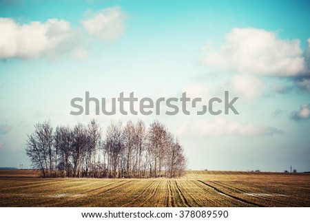 Spring  nature background