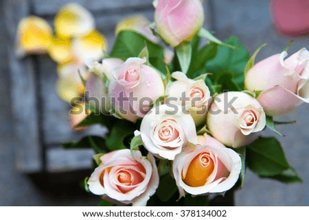 rose flower on wooden background