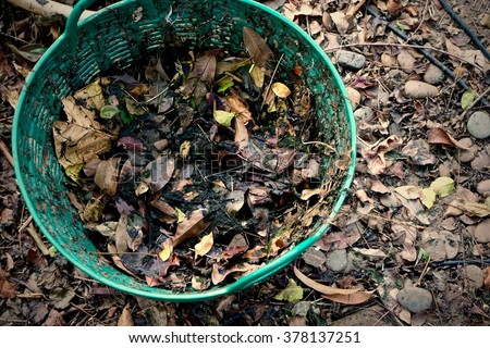 green leaf bin Royalty-Free Stock Photo #378137251