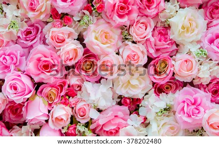 Soft color Roses Background