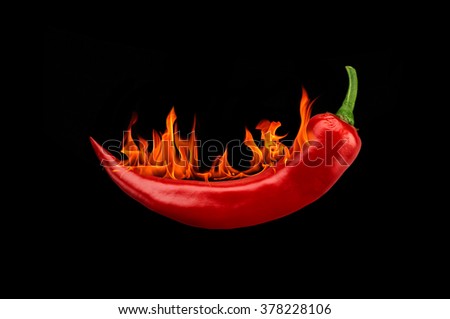 Chili pepper Hot Spicy fire burning isolate on the black background 