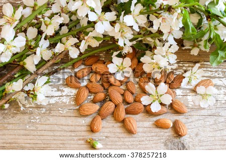 Almond. Nuts and blossoming branch. Royalty-Free Stock Photo #378257218