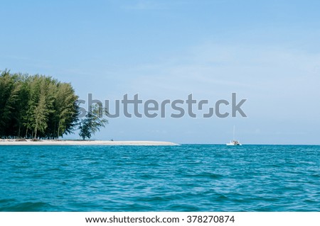 Green pine trees on the island and blue sea with sky clear