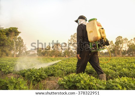 Farmer spraying pesticide during sunset time Royalty-Free Stock Photo #378322951