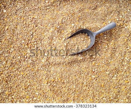 Chicken feed Royalty-Free Stock Photo #378323134