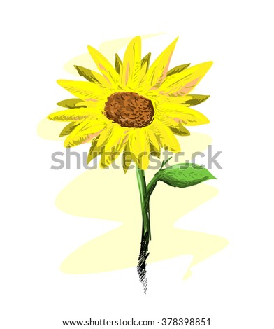 Sunflower, a hand drawn vector illustration of a fresh, beautiful sunflower features morning dew on its leaf, isolated on a simple background (editable).