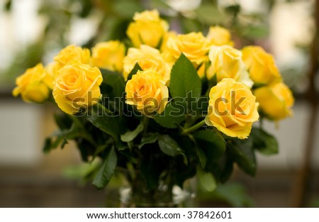 Bunch of beautiful yellow roses