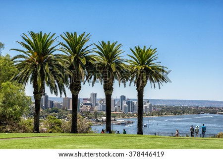Looking through the palm trees in Kings Park to Perth Royalty-Free Stock Photo #378446419