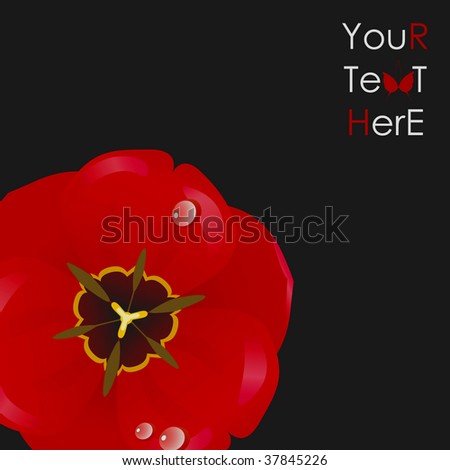 Beautiful background with a red bright tulip and the butterfly