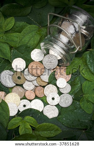 various coins spill out from a bottle onto the green leaves