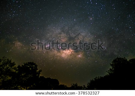Milky Way with silhouette of tree and branches, captured at Kew Fin, Mae On, Chiang Mai, Thailand