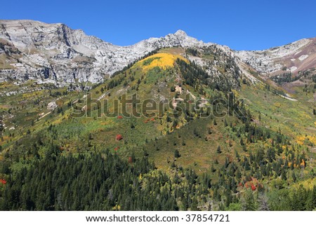 Rocky Mountains in the fall showing trees and snow capped mountains