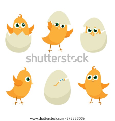 Easter eggs chicks set. Easter background vector eps 10