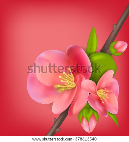 Illustration Branch with Buds of Japanese Quince (Chaenomeles japonica) in Bloom, Springtime Awakening. Copy Space for Your Text - Vector