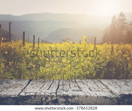 Vineyard in Spring with Vintage Instagram Film Style Filter Royalty-Free Stock Photo #378652828
